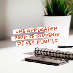 une application pour se souvenir de ses plantes